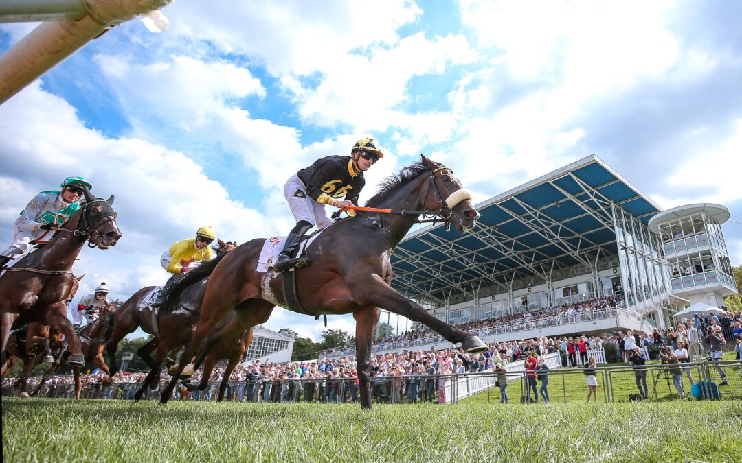 DIANA REVANCHE UND MAIDEN