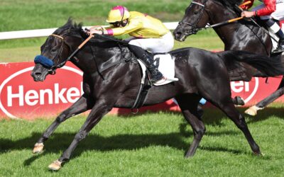 WIKINGER ZUM DRITTEN