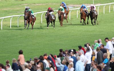 DURCH STOP ENTSCHULDIGT