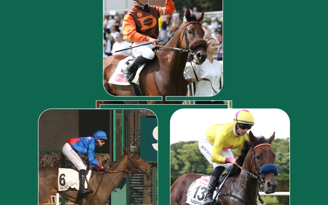 TERZETT IM LISTENRENNEN