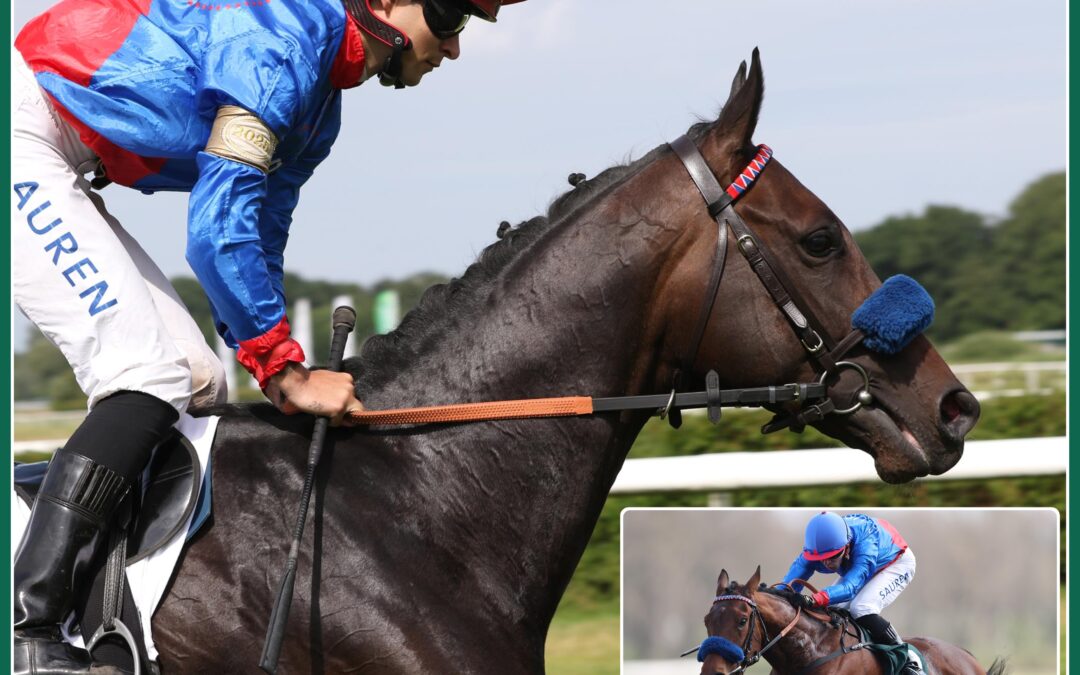 PENALTY MIT GLADY TIGER