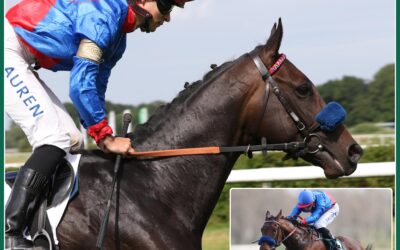 PENALTY MIT GLADY TIGER