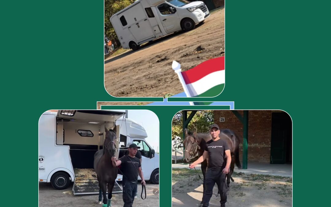 SHOOTOUT GUT ANGEKOMMEN