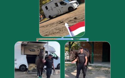 SHOOTOUT GUT ANGEKOMMEN