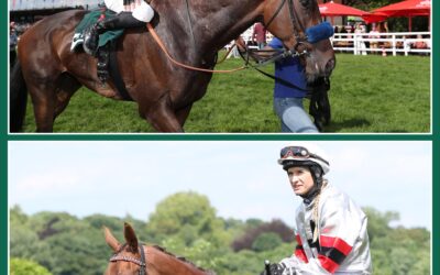 DOPPELSPITZE IM BBAG