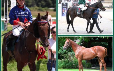 WEITERE CHANCHEN IN KÖLN