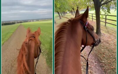 GUTEN MORGEN DEUTSCHLAND