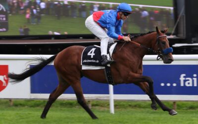 NARDOS IM SPAZIERGANG