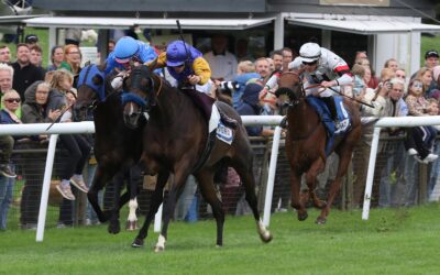 ERSTER / VIERTER IM BBAG