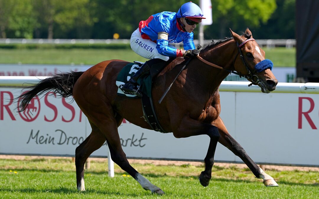 ENZIAN UND ZWEI KOLLEGEN