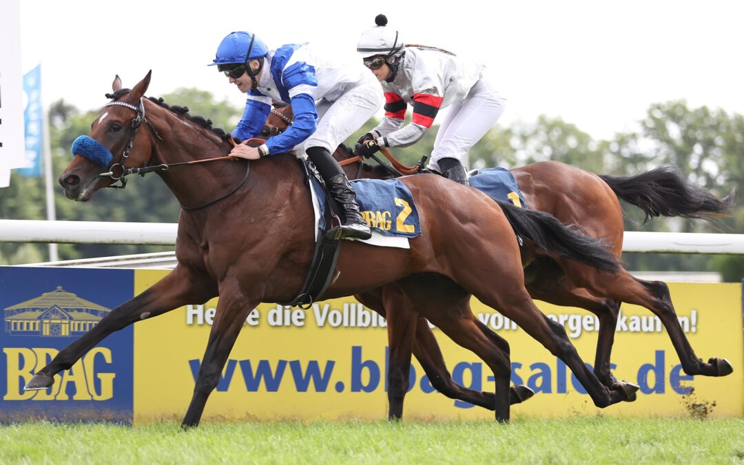 EIN “REMAKE” IN IFFEZHEIM ?