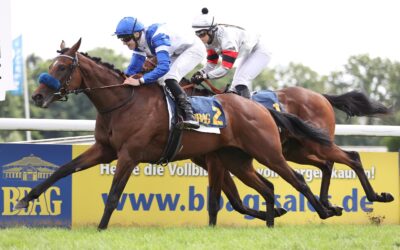 EIN “REMAKE” IN IFFEZHEIM ?