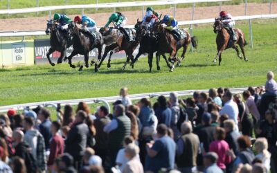 NACH STÖRUNG LETZTE