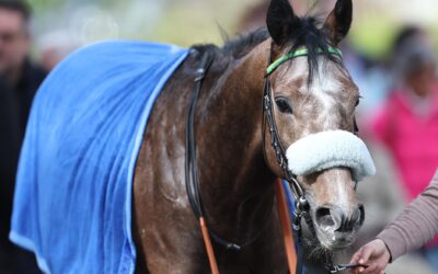 AM TEMPO GESCHEITERT