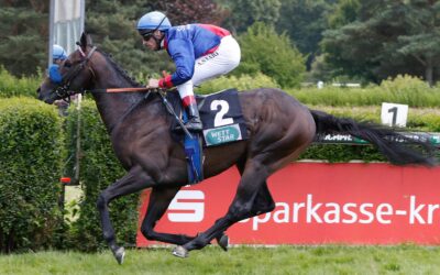 SBOOTOUT IN BUDAPEST