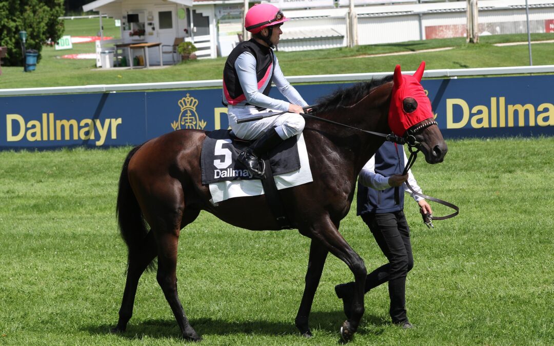 WLCHES GESICHT ZEIGT STRAIGHT