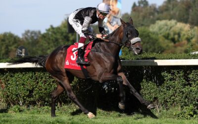 DAWN SKY KANN AUCH HANDICAP