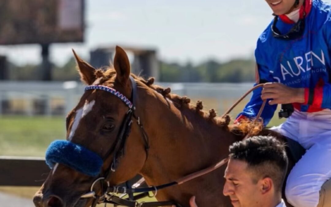 >DIE WELT IST NICHT GENUG<