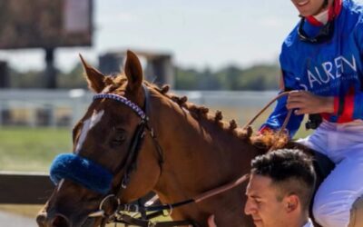 >DIE WELT IST NICHT GENUG<