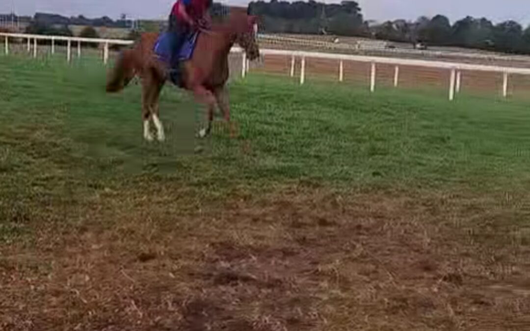 LETZTE ARBEIT IN KENTUCKY