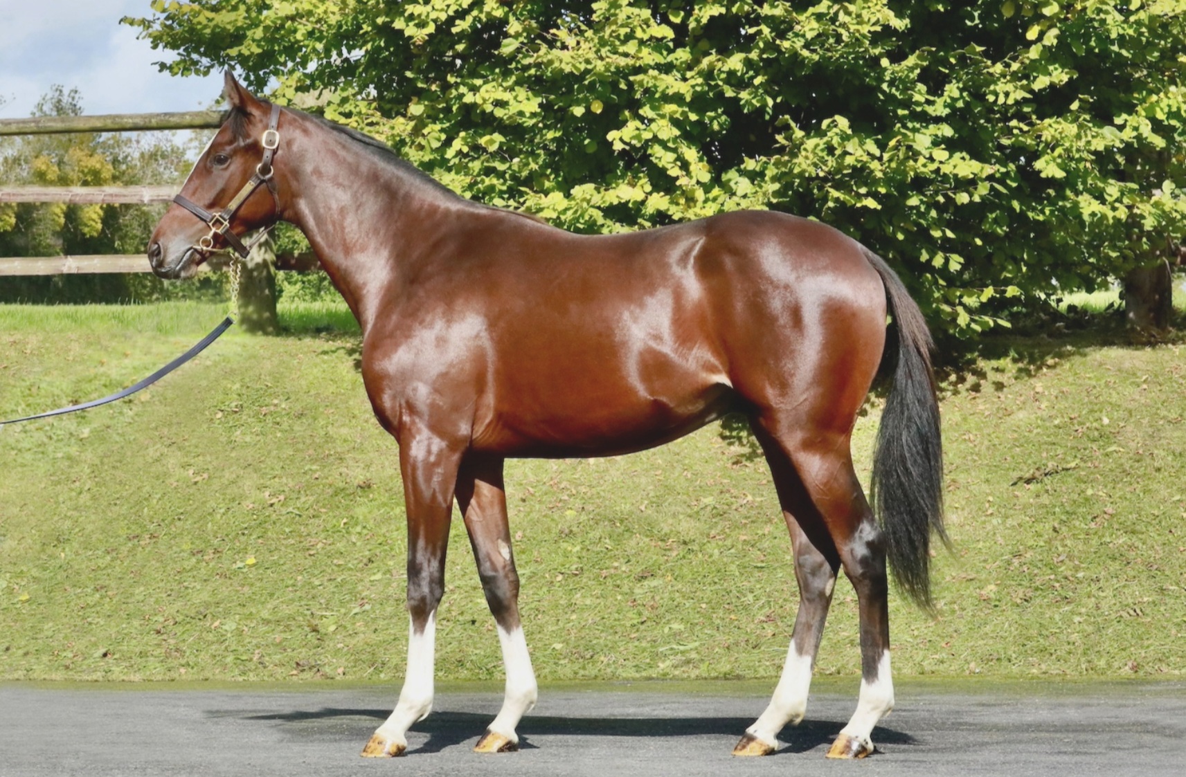 Screenshot_20250908_101217_Samsung Internet