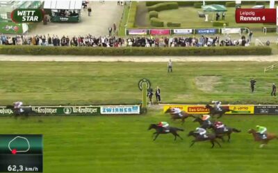 DIESMAL OHNE FORTUNE