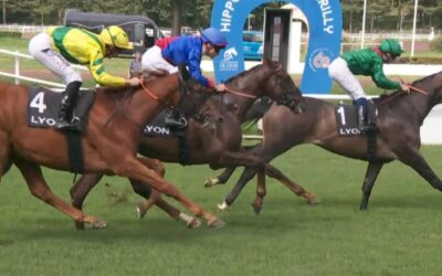 DIESMAL NUR EINER STÄRKER