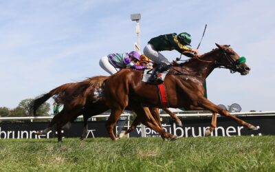 FOLGETREFFER IM VISIER