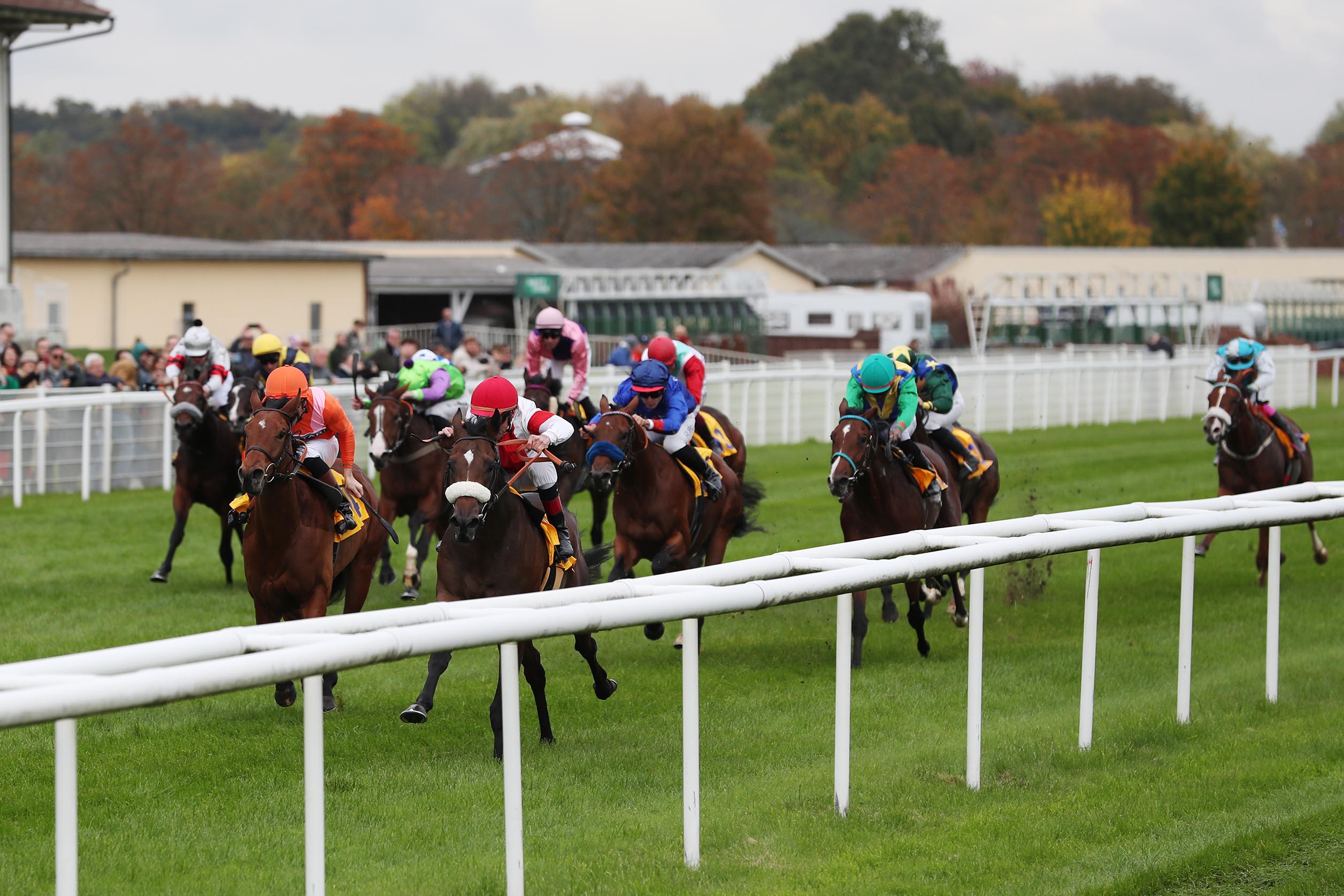 Loucas siegt unter Andrasch Starke im Ferdinand Leisten Memorial – BBAG Auktionsrennen