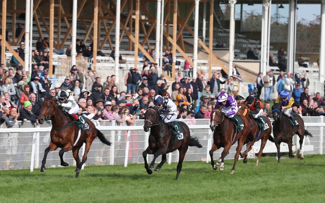 DOPPELSPITZE UNPLACIERT