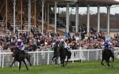 DRITTE BEIM “STALLDEBUT”