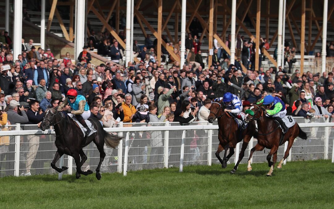 VALZEINA MIT GRUPPE BLACKTYPE