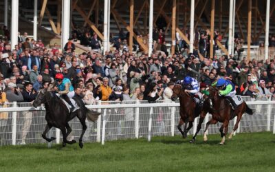 VALZEINA MIT GRUPPE BLACKTYPE