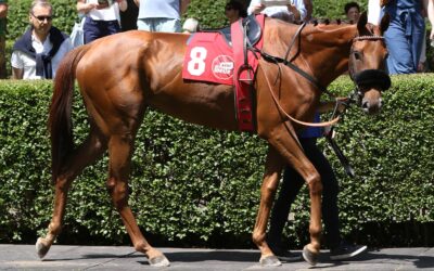 UNTER FORM GEBLIEBEN