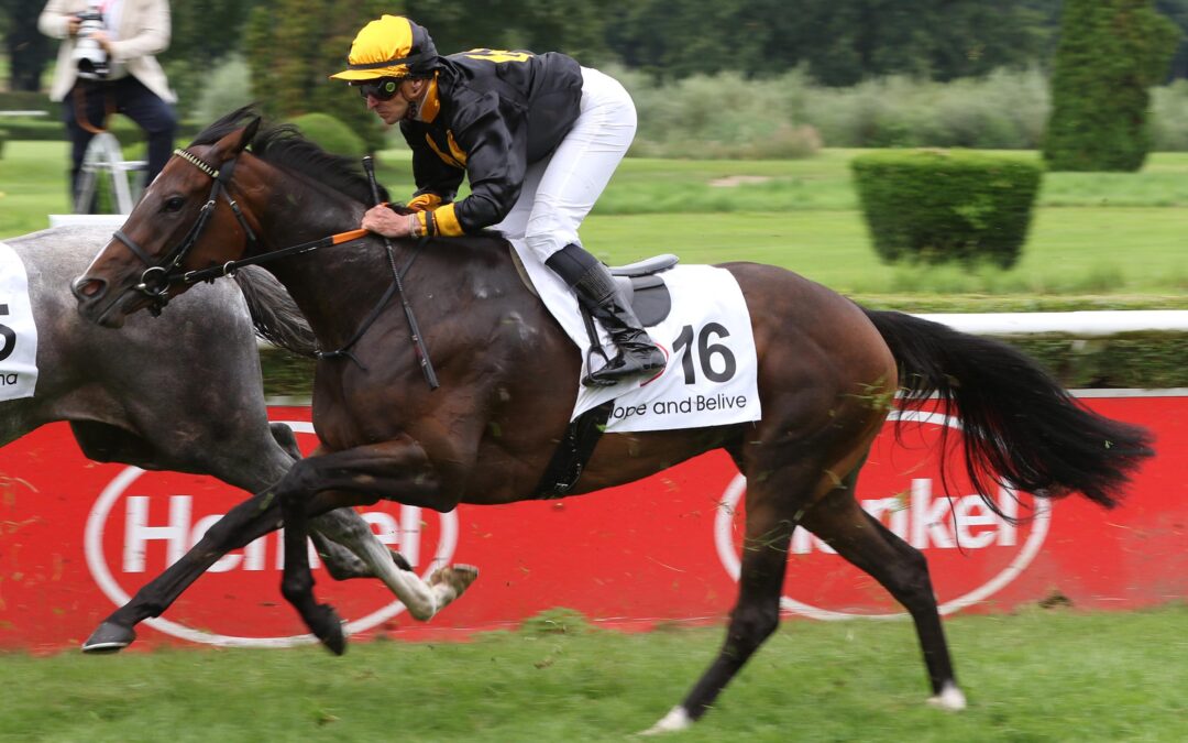 LETZTES GELD VeRDIENT