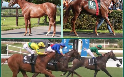 YOUNGSTER TRIO IM EINSATZ