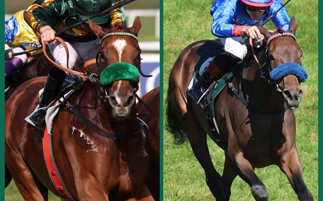 STUTENDUO IN MÜNCHEN