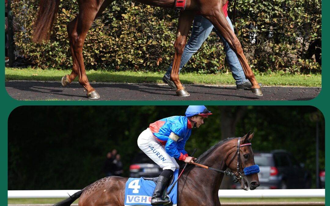 ZWEI CHANCEN IN HALLE