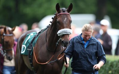 FRANKREICH STARTERIN