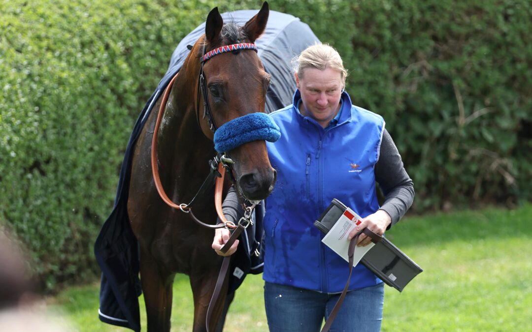 WIEDER STARK UND ZWEITER