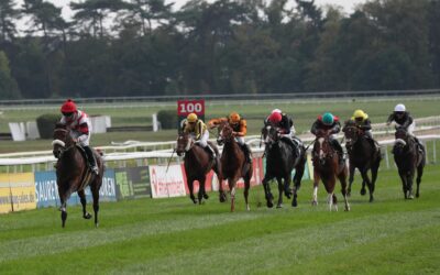 ZWEI STARTER – EIN PLATZGELD