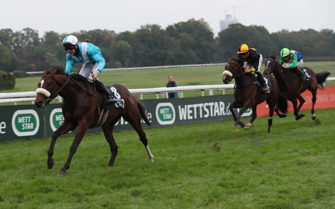 EHRENPLATZ BEI HANDICAP DEBUT