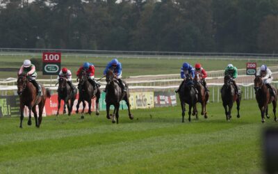 ZWEITER DRITTER – DAS OPTIMUM