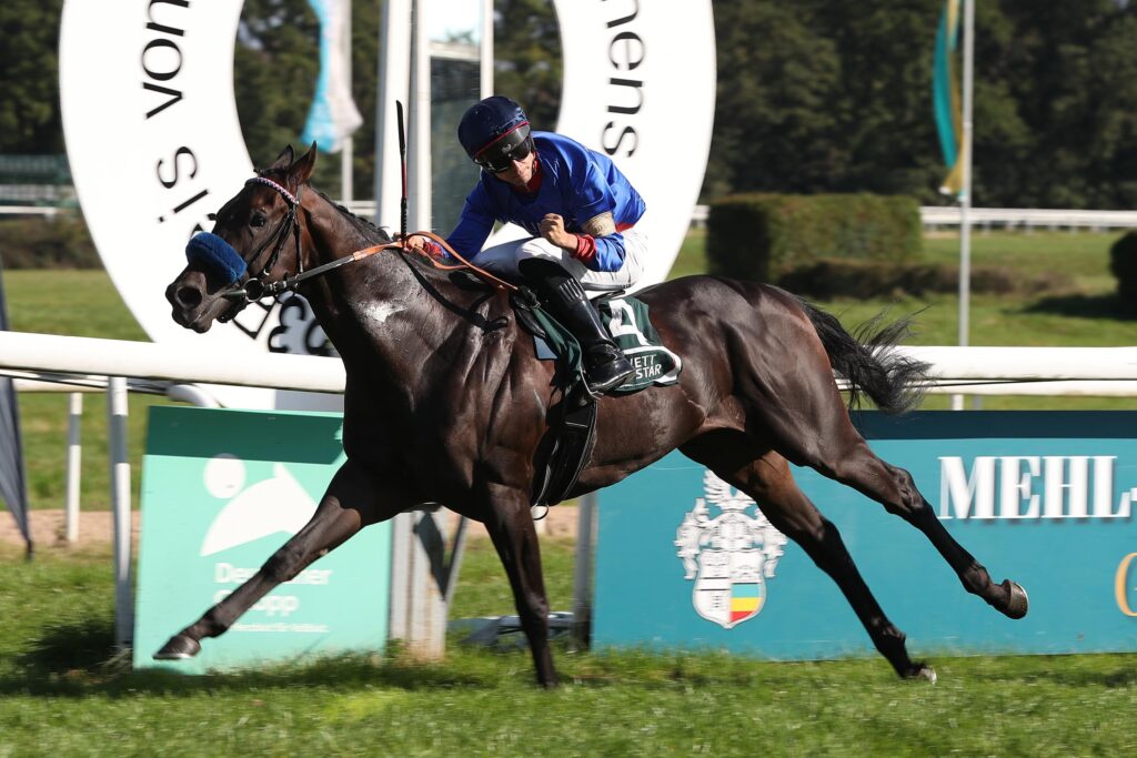 DAS SAGTE DER HANDICAPPER