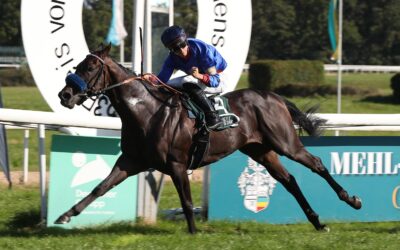 DAS SAGTE DER HANDICAPPER