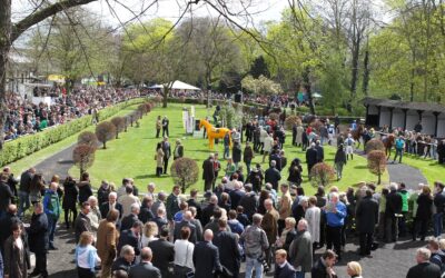 DREIMAL HANDICAP IN KÖLN