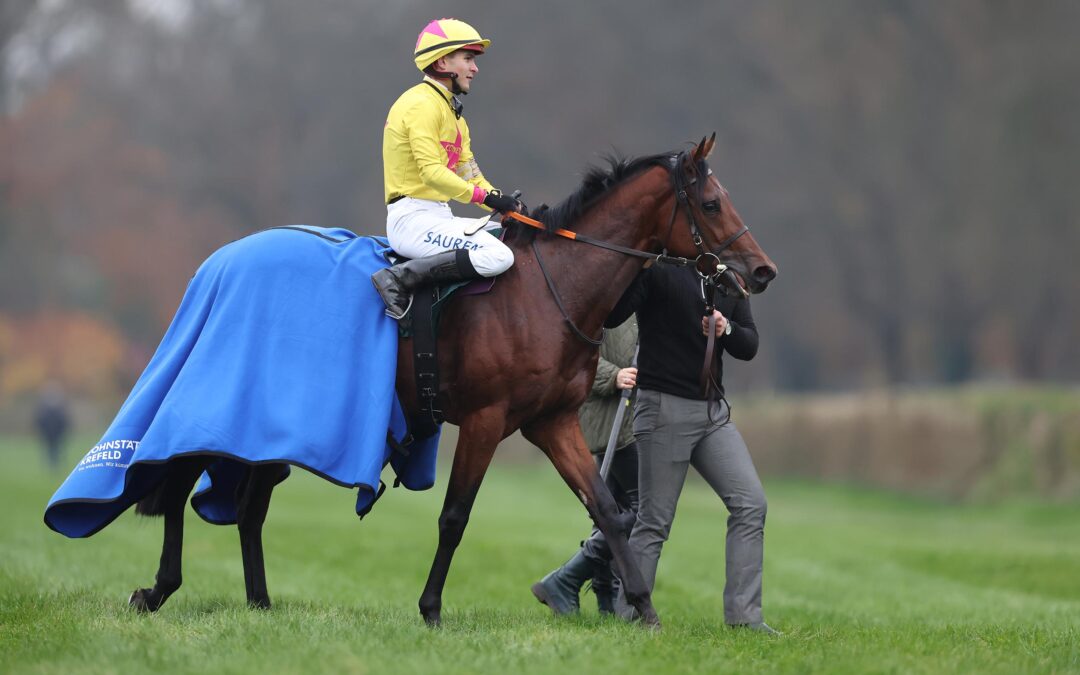 POMPEO DREAM GEGEN FÜNF