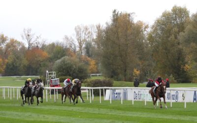 NACH STÖRUNG SECHSTE