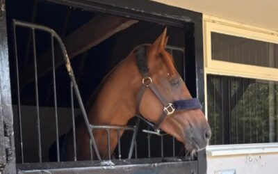 NOCH ZWEI STOPS BIS MELBOURNE