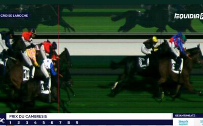 EINE NASE ODER WIE ODER WAS ?